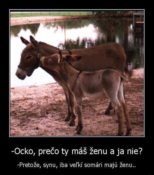 Ocko, prečo nemám ženu?
