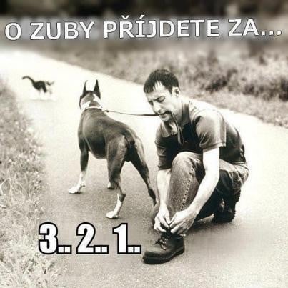 Prísť o zuby...3...2...1