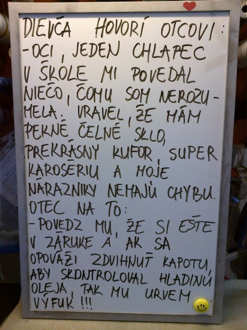 Ďuri a kontrola auta