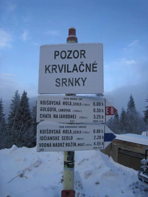 Pozor! Krvilačné srnky!
